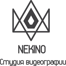 nekino-rnd.ru