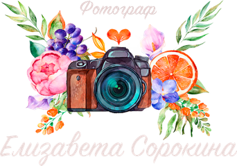 elizavetasorokina.wfolio.pro