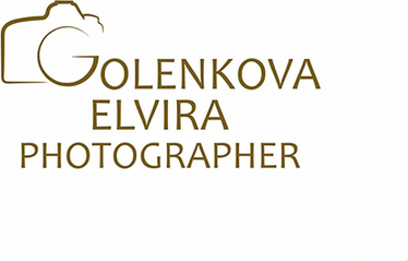 ph-elvira-golenkova.ru