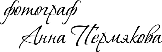 a-p-f.ru