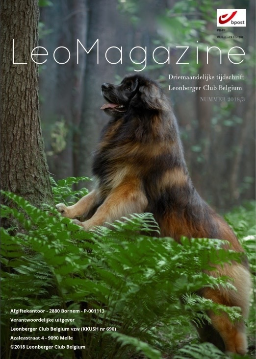 Публикации. Фотограф анималист в Санкт-Петербурге Светлана Писарева