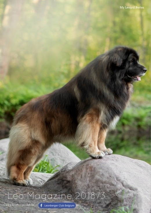 Публикации. Фотограф анималист в Санкт-Петербурге Светлана Писарева