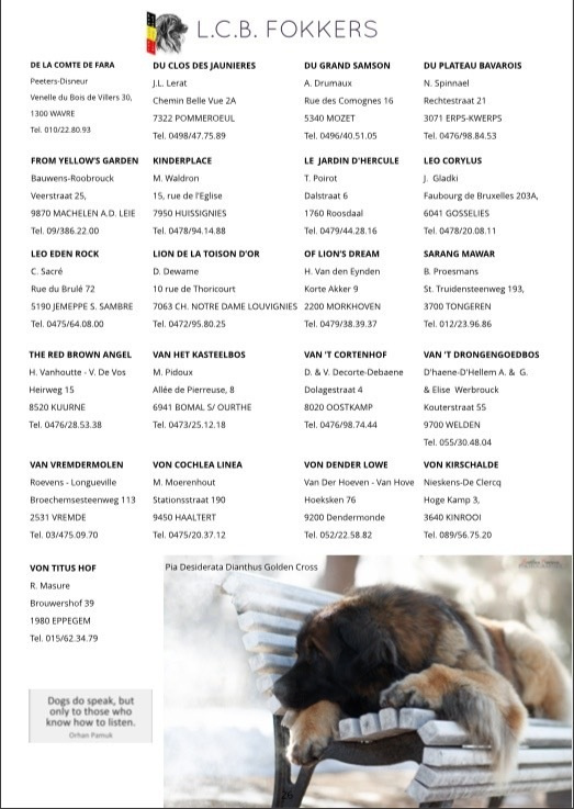 Публикации. Фотограф анималист в Санкт-Петербурге Светлана Писарева