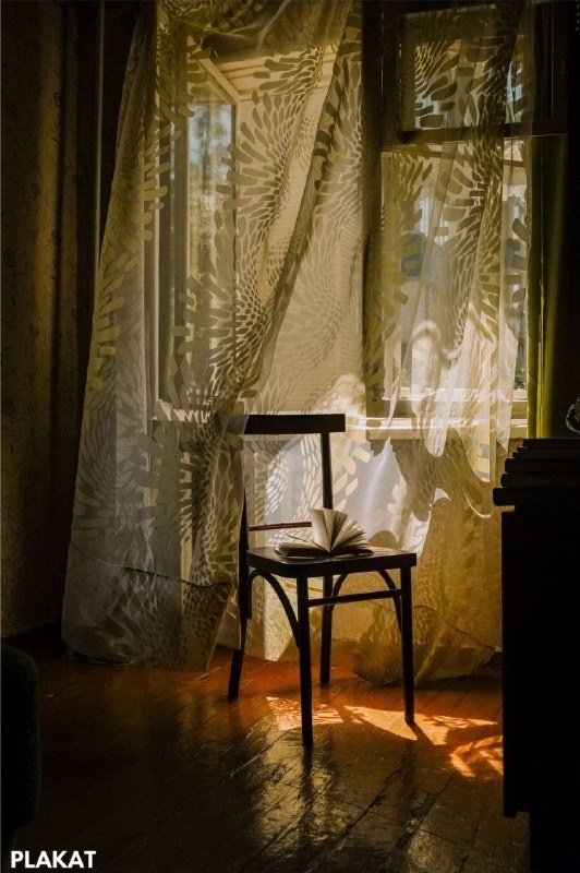 Курс «Основы художественной фотографии». Женский семейный фотограф Тула Москва Захарова Анна