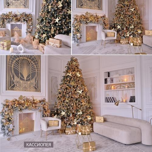 Фотостудии новый год