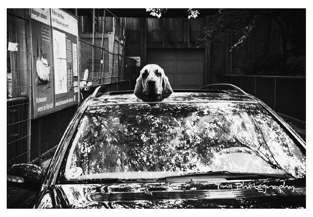 Inspiration — my Photographers list p.3. Moscow street photography workshops and photo tourism