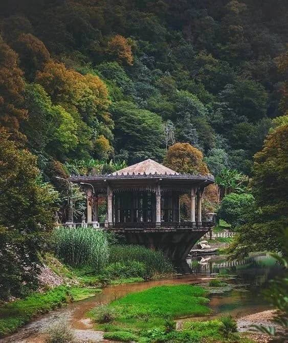 Абхазия. «Мандариновое настроение». Ольга Котова