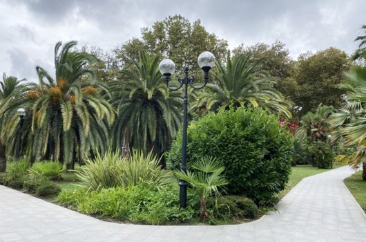 Фотосессия в кооперативном сквере в Сочи. Фотограф Сочи Адлер. Солькаева Анастасия