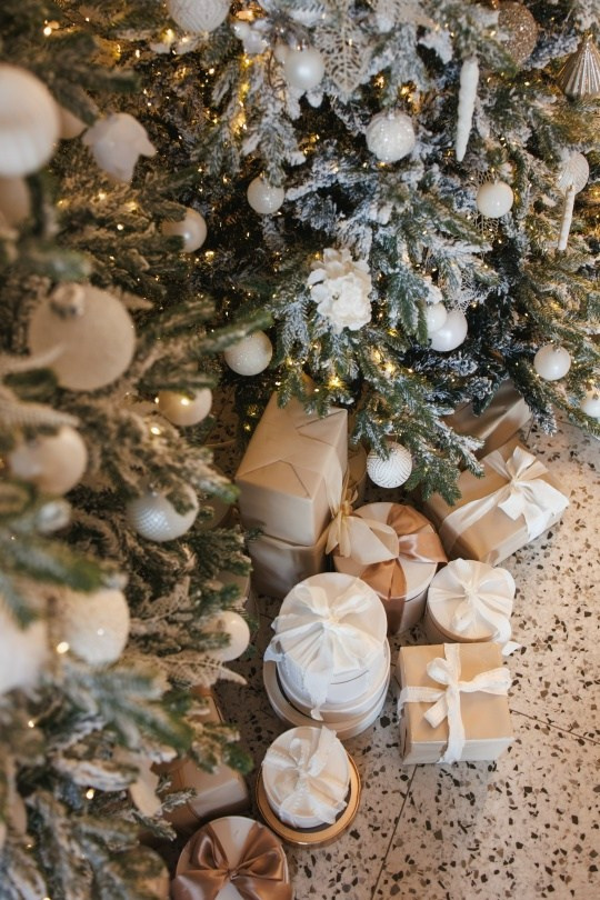 Новогодние залы. Семейный и женский фотограф в Воронеже Ольга Попова