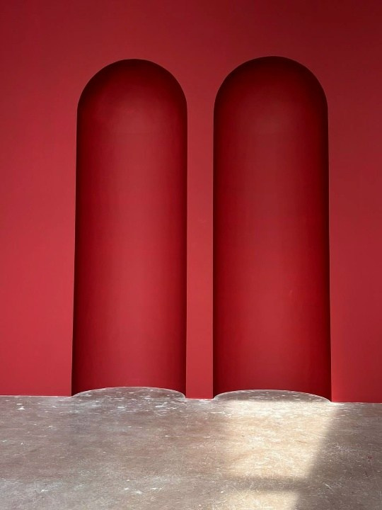 Интерьерные залы. Семейный и женский фотограф в Воронеже Ольга Попова