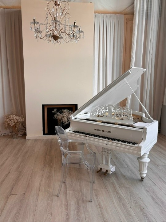 Интерьерные залы. Семейный и женский фотограф в Воронеже Ольга Попова