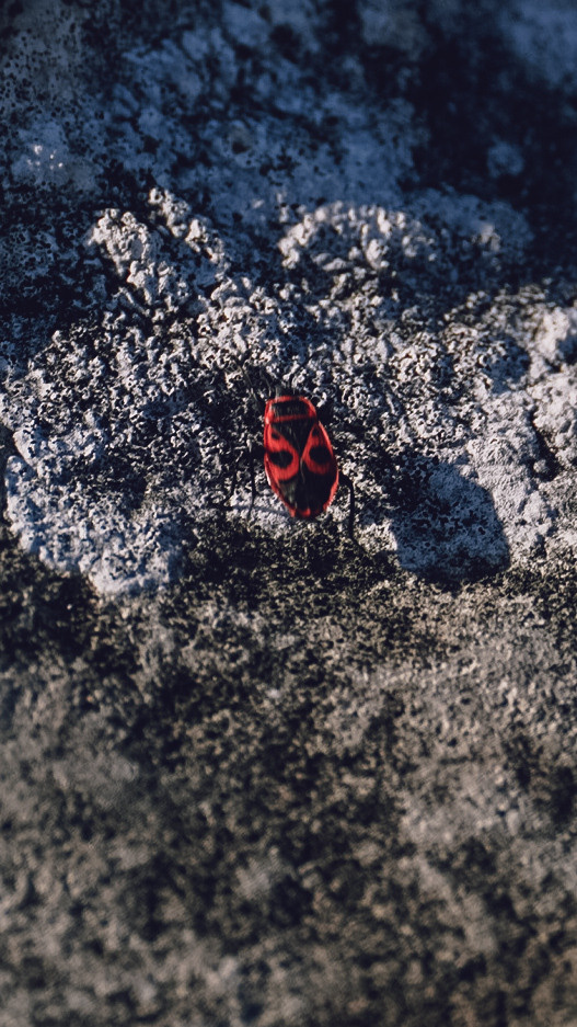 Между Уфой и Оренбургом 2022. Человек с фотокамерой