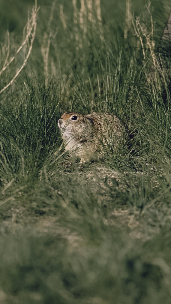 Между Уфой и Оренбургом 2022. Человек с фотокамерой