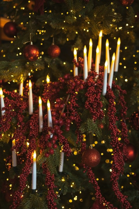 Новогодние залы. Семейный и женский фотограф в Воронеже Ольга Попова