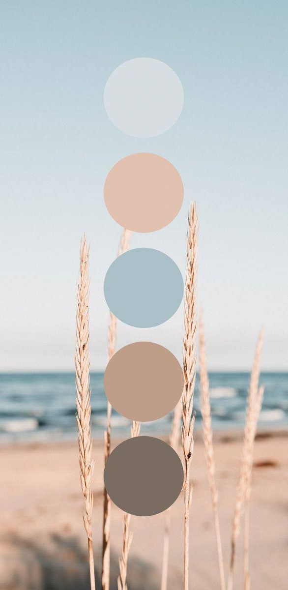 Как подобрать образ на фотосессию. Фотограф-анималист Анастасия Большакова