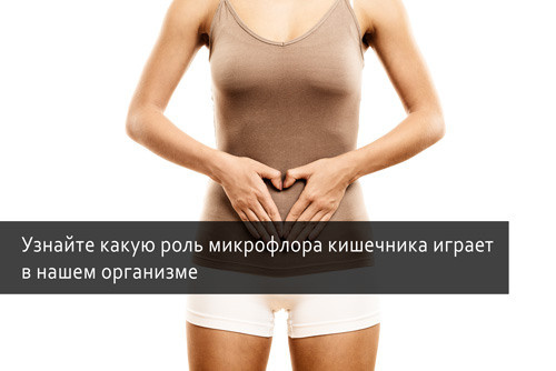 Как получить реферальную ссылку в личном кабинете Сибирское Здоровье