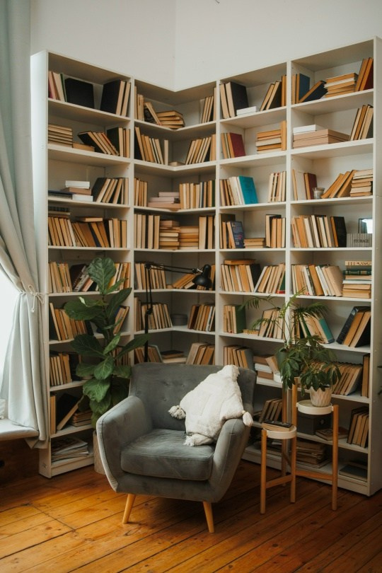 Новогодние залы. Семейный и женский фотограф в Воронеже Ольга Попова