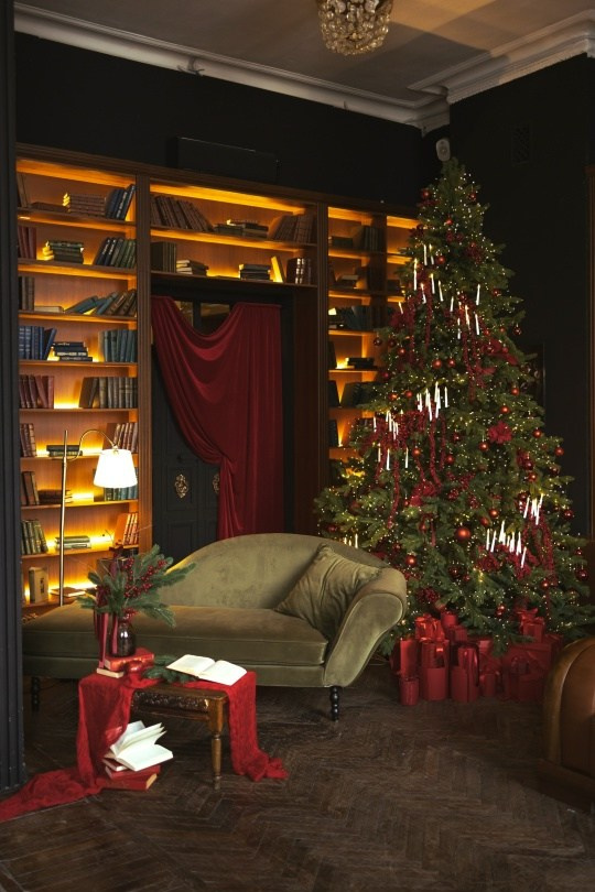 Новогодние залы. Семейный и женский фотограф в Воронеже Ольга Попова