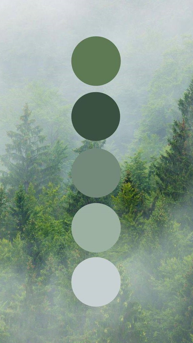 Как подобрать образ на фотосессию. Фотограф-анималист Анастасия Большакова