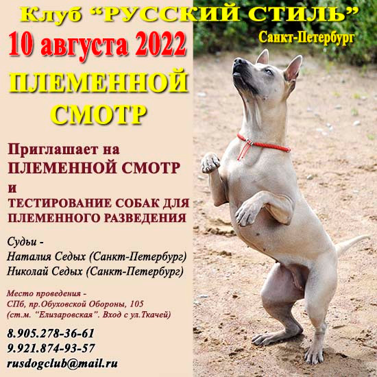 ПЛЕМЕННОЙ СМОТР 15.01.2026. Кинологический клуб РКФ РФСС СЕНСАЦИЯ