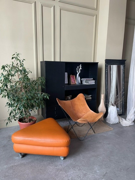 Интерьерные залы. Семейный и женский фотограф в Воронеже Ольга Попова