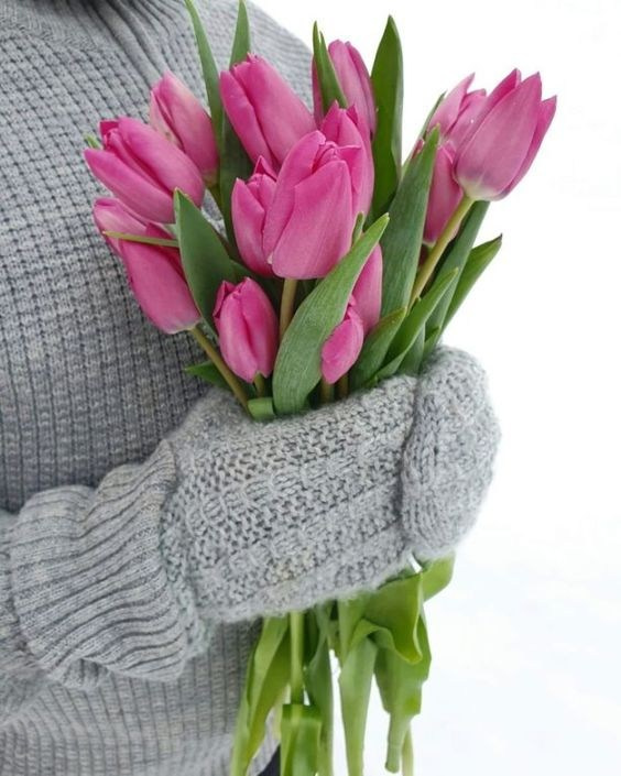 Тюльпаны на улице. Фотограф в Екатеринбурге Юлия Ташлыцкая