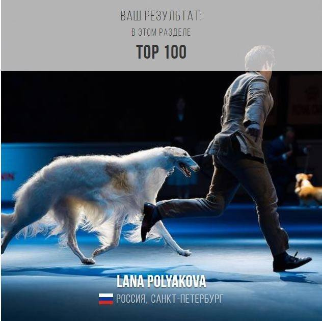 Подведены итоги конкурса 5TH 35AWARDS. ФОТОГРАФ-АНИМАЛИСТ l LANA POLYAKOVA