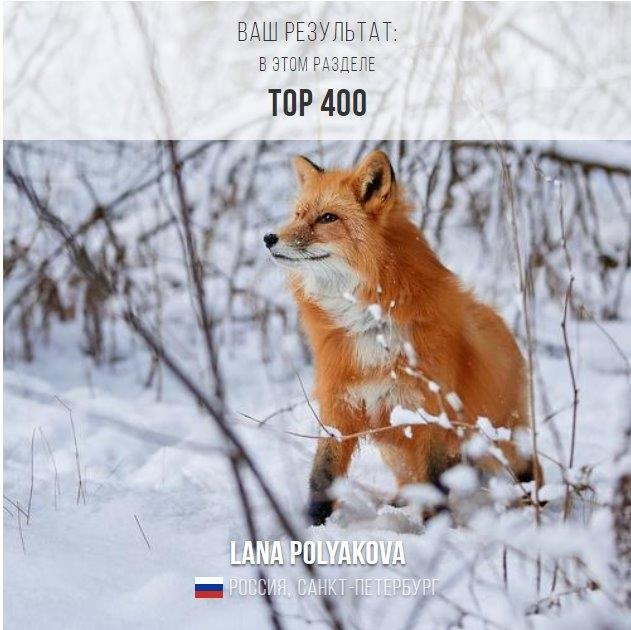 Подведены итоги конкурса 5TH 35AWARDS. ФОТОГРАФ-АНИМАЛИСТ l LANA POLYAKOVA