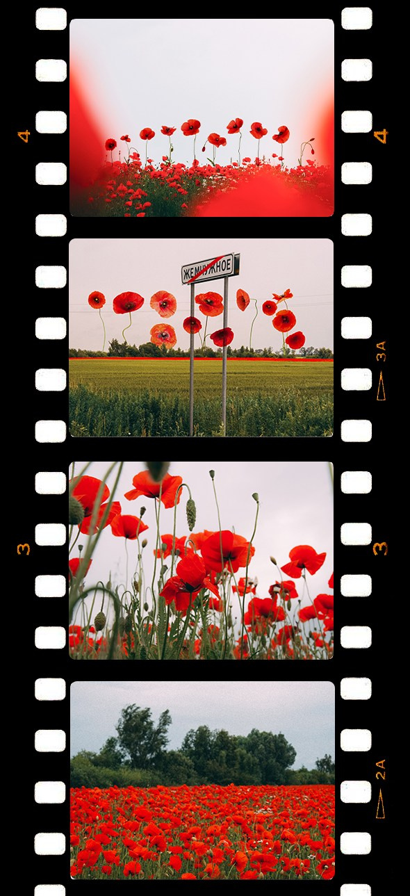 Фотограф из Москвы — DASHA NOVA | Авторская фотография в разных жанрах