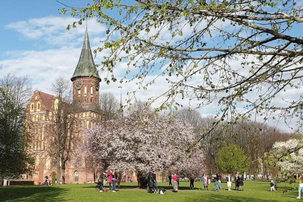 Весна в Калининграде