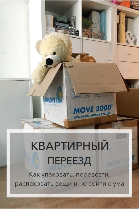 Мудбород: организаторы пространства. Контент-съёмка и бизнес-портреты в Москве. Виктория Кулюкина