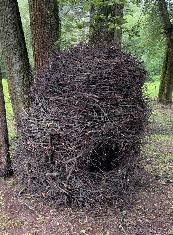 Резиденция «Белые аллеи» 2023. Лилия Ким. Междисциплинарный художник