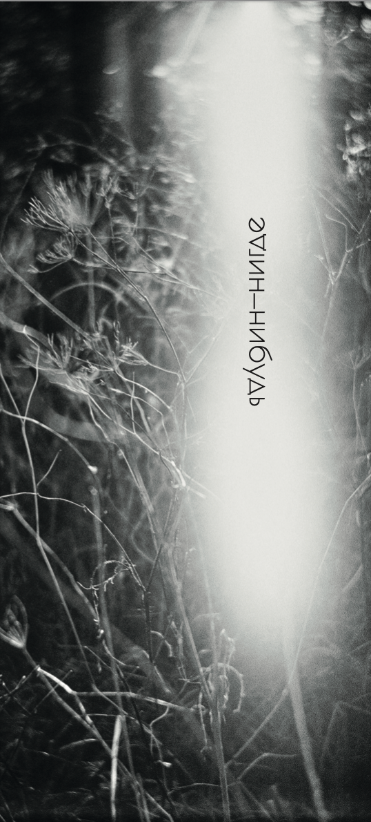 Курс Олега Колимбета: Сторителлинг и создание визуальных нарративов. Самоорганизация Низина