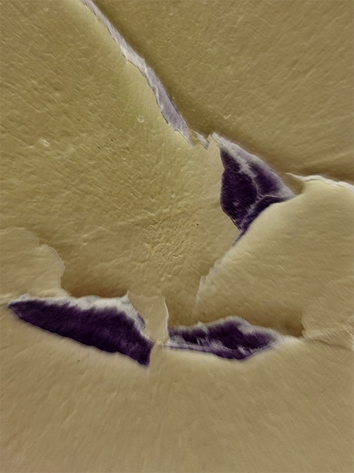 MINIMALISM. VISUAL ARTIST