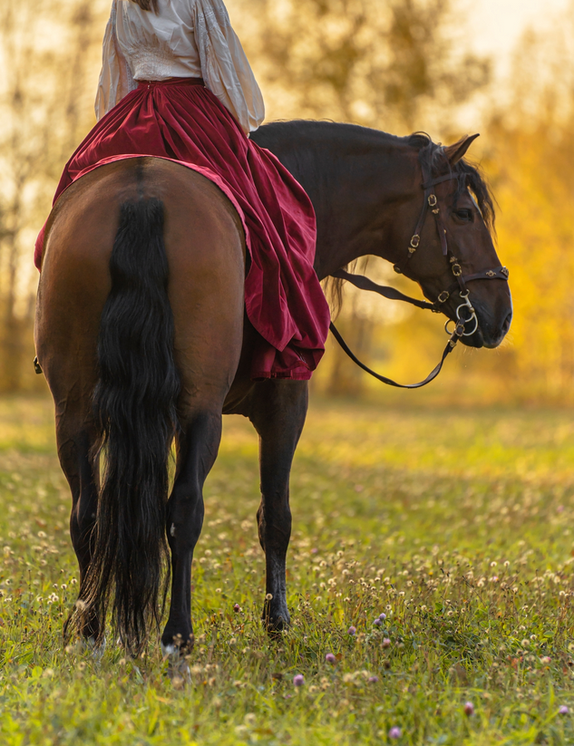 Лошади. Свадебный и портретный фотограф Москва