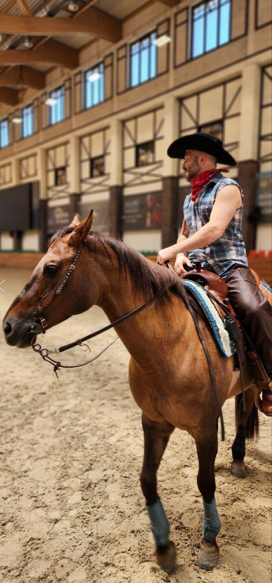 Лошади. Свадебный и портретный фотограф Москва