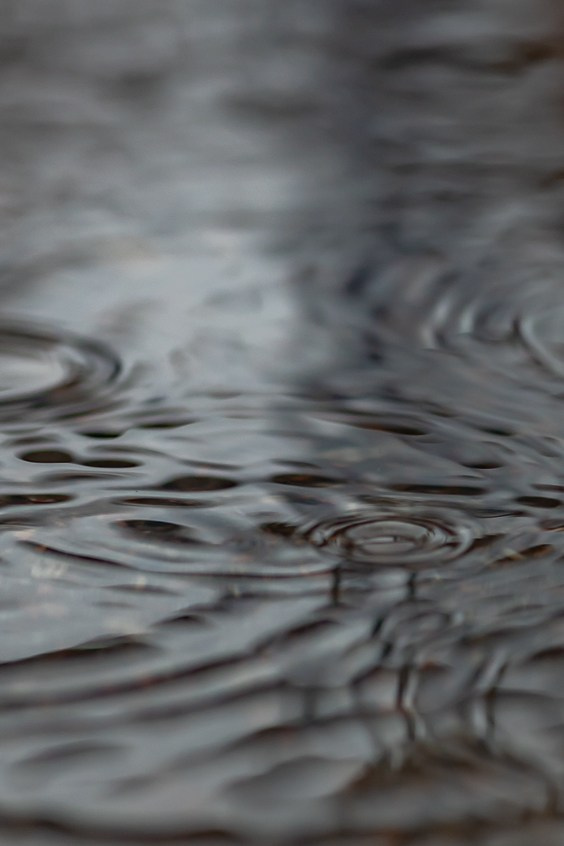 22.03.24 В память об этом дне…. Семейный и детский фотограф |Брянск| Анастасия Перепелкина