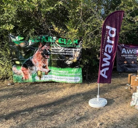 О фотографе TitAnya. Фотограф собак, фотограф-анималист Аня Титова (Titanya). Москва