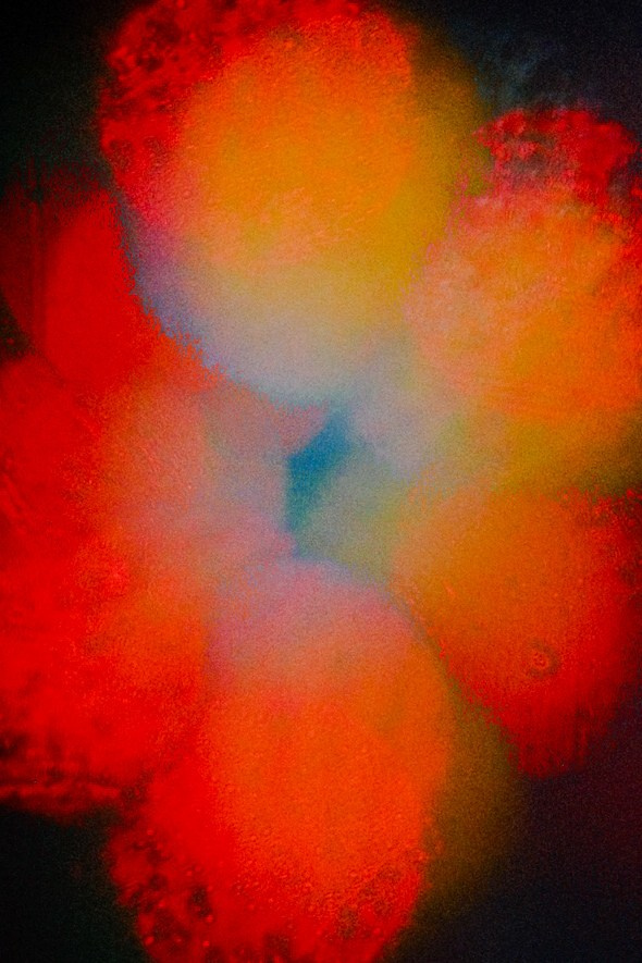 Mountain drive screensavers. Фотограф и оператор с цветным светом в Москве | Лиля Кичигина