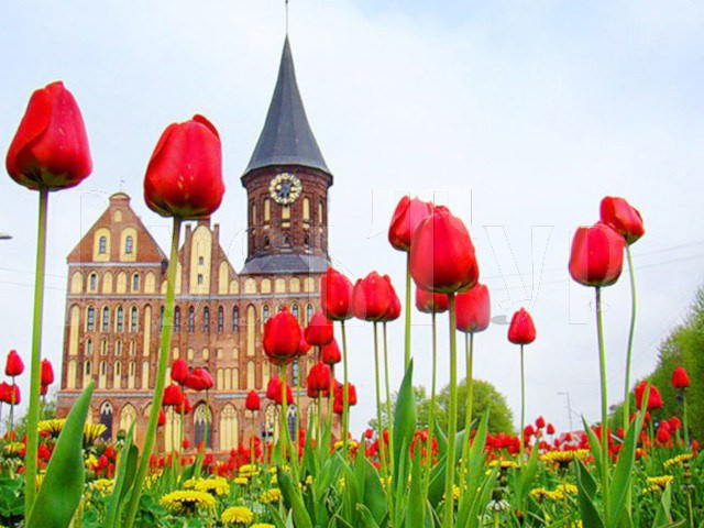 Весна в Калининграде