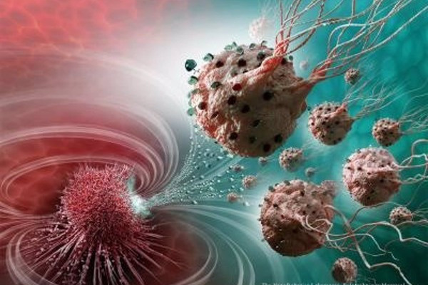 Женские заболевания: Вирус папилломы, миома, мастопатия, кисты, эндометриоз, менопауза, климакс. «Сово-Сова» продукция для омоложения, здоровья и долголетия