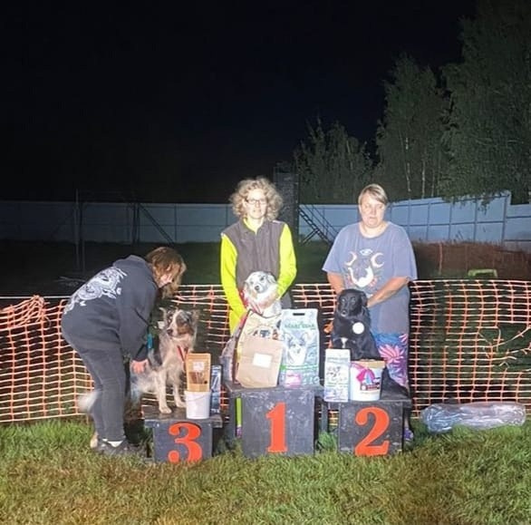 Кайса. BLGKV питомник собак