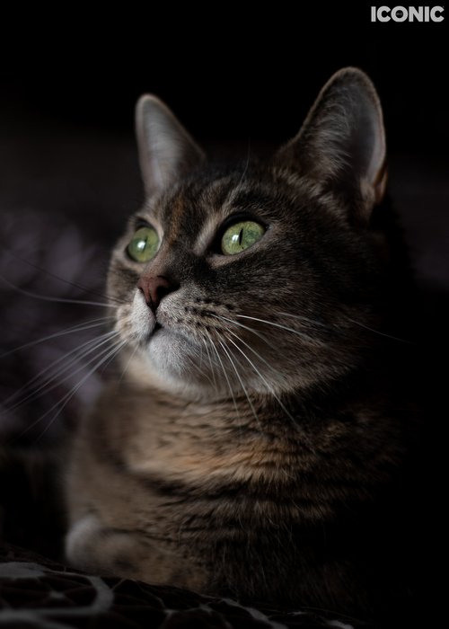 Наталия Фролова. Фотограф. Москва