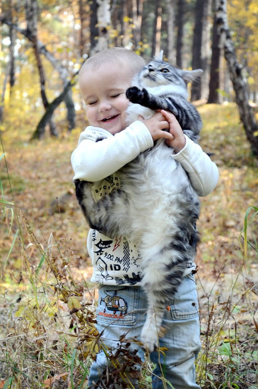 Семейная фотосессия в Краснодаре, Детская фотосессия Краснодар, Семейный фотограф, Детский фотограф Краснодар, с кошкой, с домашними животными