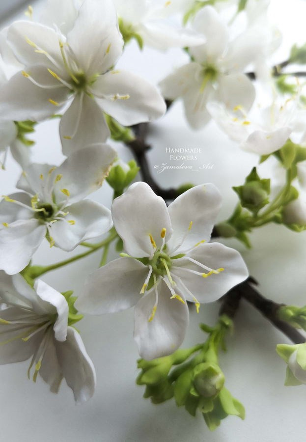 Замалова Елена Олеговна. Галерея участников Российской Премии Искусств