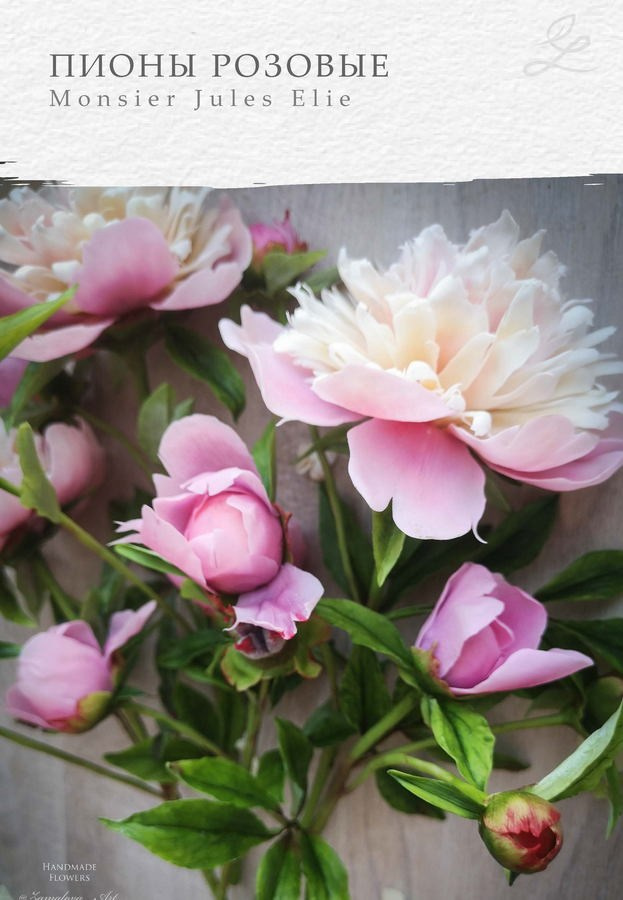 Замалова Елена Олеговна. Галерея участников Российской Премии Искусств