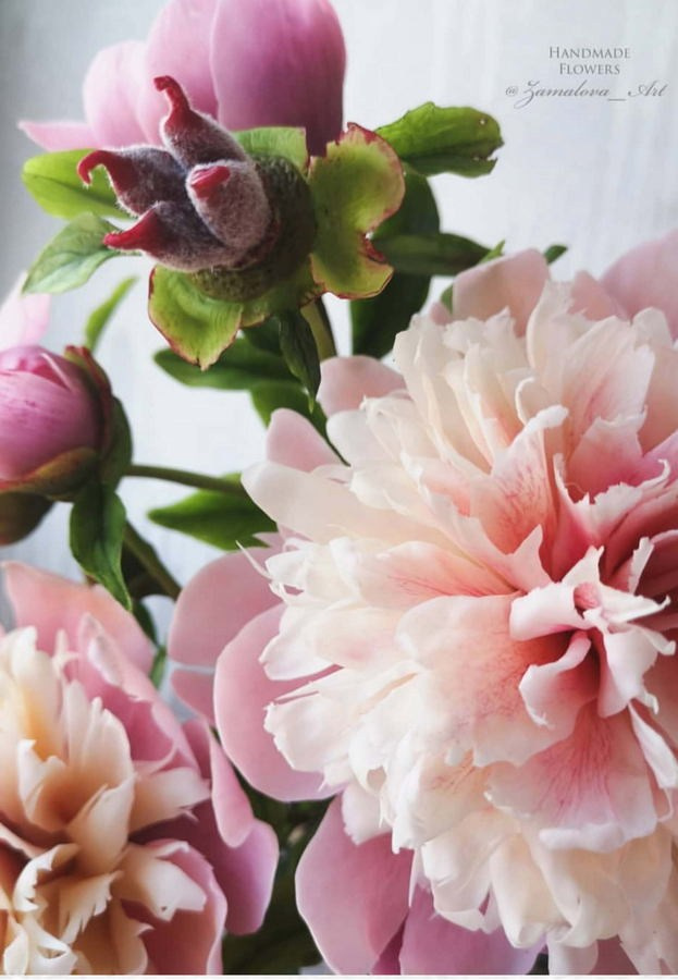 Замалова Елена Олеговна. Галерея участников Российской Премии Искусств