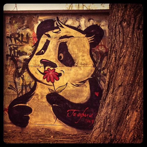 Graffiti. Alexander Stan Shimanov