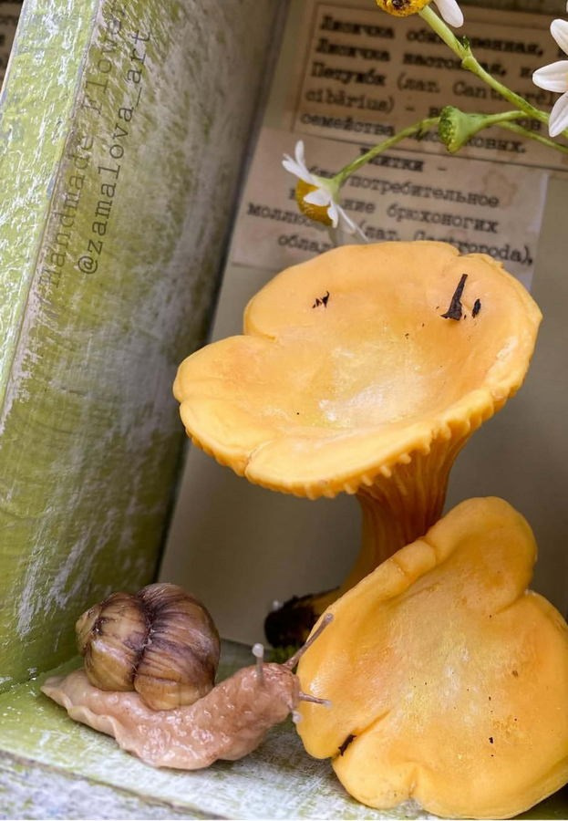 Замалова Елена Олеговна. Галерея участников Российской Премии Искусств