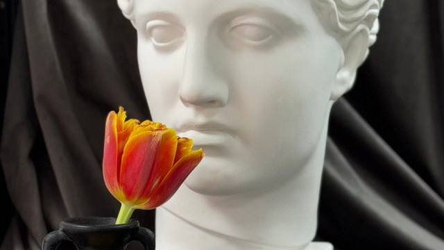 Мастер-класс по живописи на 8 марта. Арт-вечеринки и мастер-классы в Москве для взрослых и детей